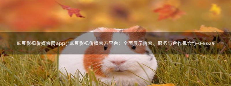 麻豆传媒新片