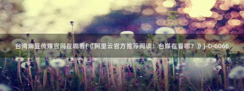 麻豆演员资料