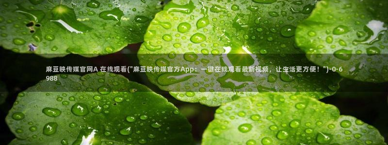 麻豆视频下载