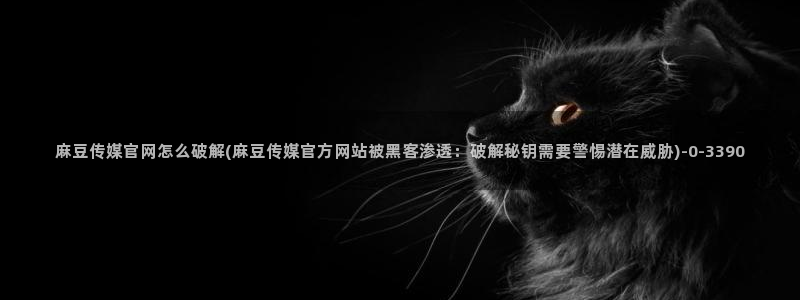 麻豆榜单描述