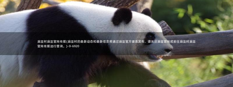 麻豆视频在线看