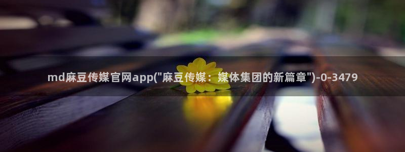 麻豆视频更新维护