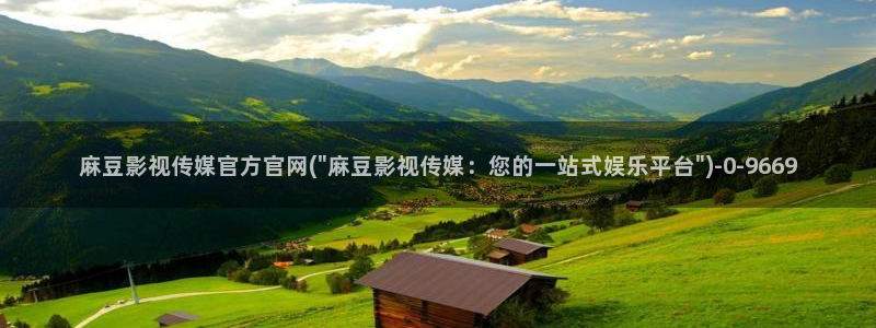 麻豆视频标签