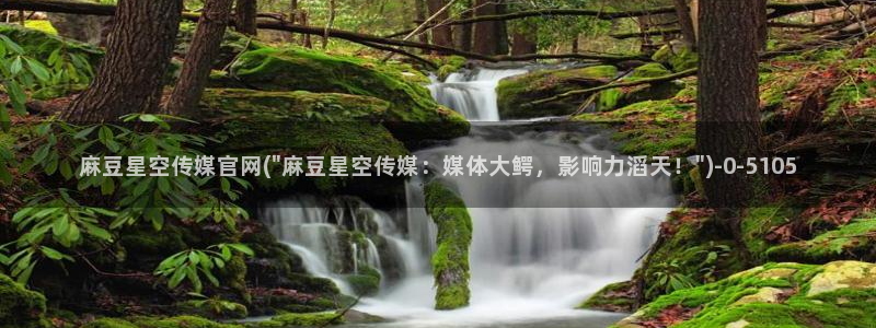 麻豆视频文章内容