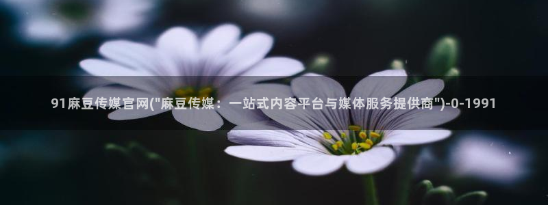 麻豆视频点评