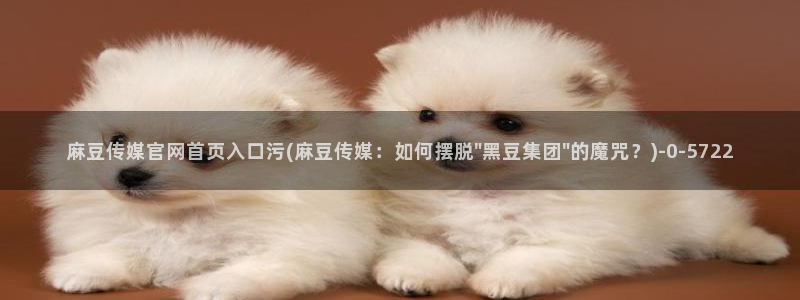 麻豆视频投稿交流