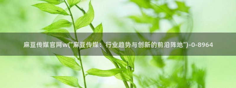 麻豆传媒视频