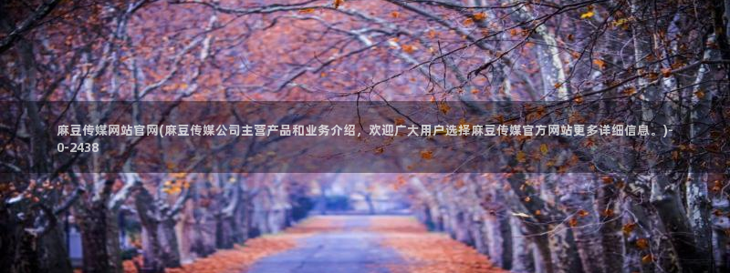麻豆视频分类名称