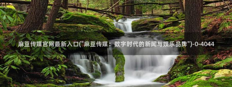 麻豆观看描述