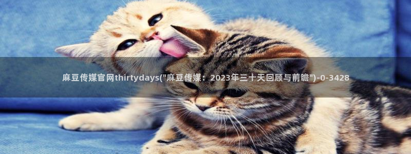 麻豆精品视频