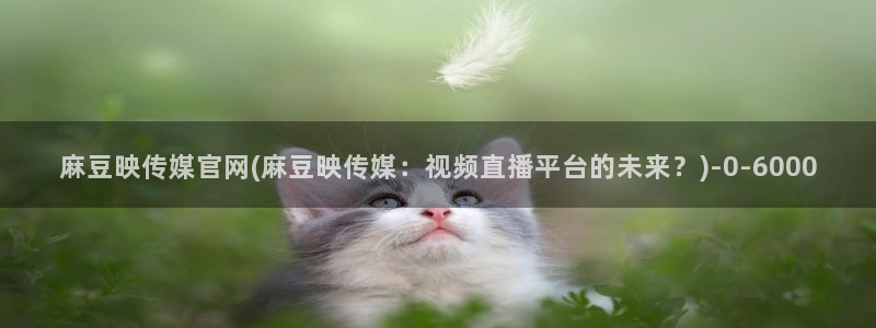 麻豆视频高流量词