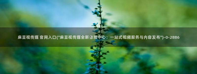 麻豆专题页