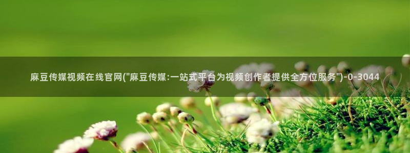 麻豆专题描述