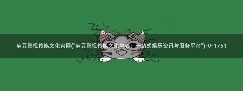 麻豆视频文章描述