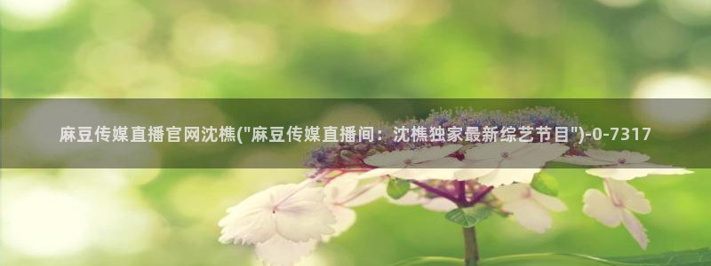 麻豆人物关系