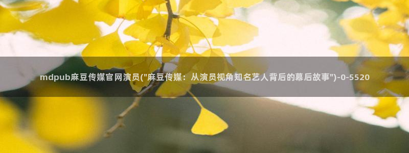 麻豆内容优化
