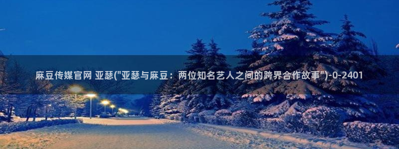 麻豆视频分类