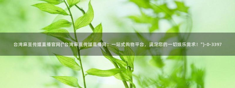 麻豆情感剧情
