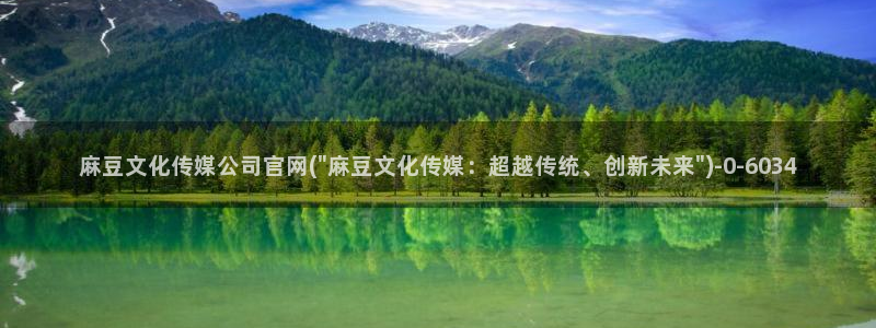 麻豆视频网