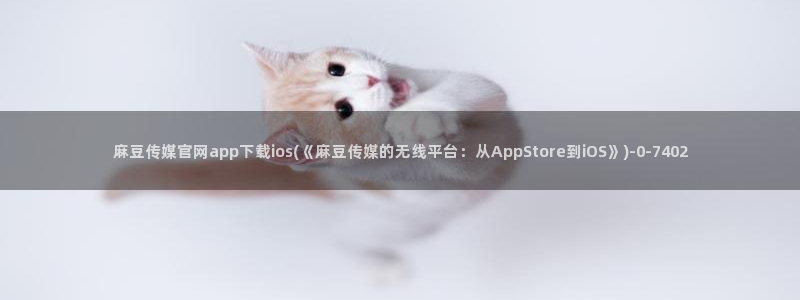 麻豆视频大全