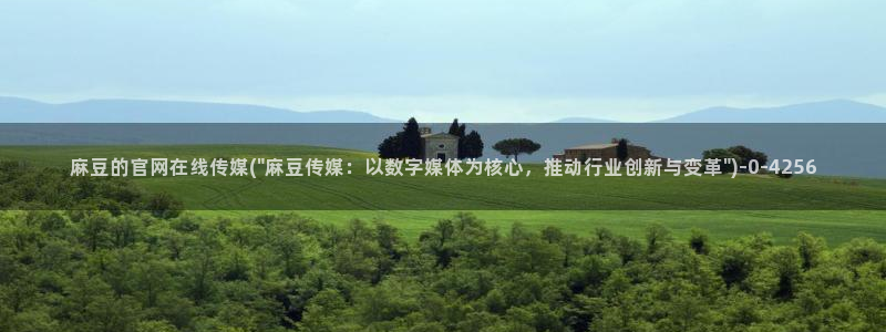 麻豆视频页面描述