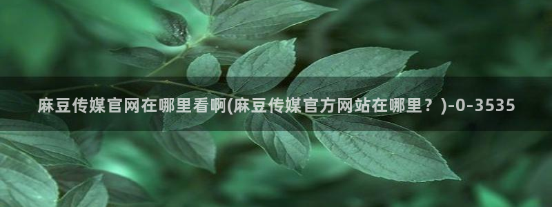麻豆视频关于我们