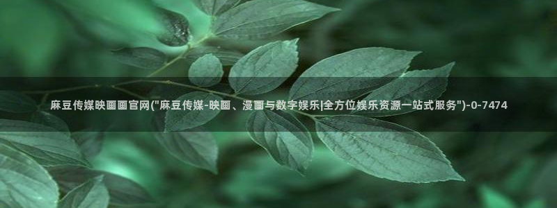 麻豆视频资讯文案