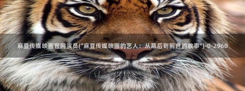麻豆剧情页