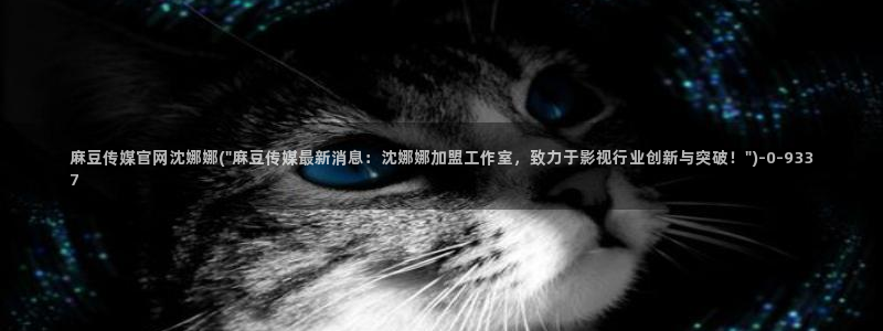 麻豆视频更新