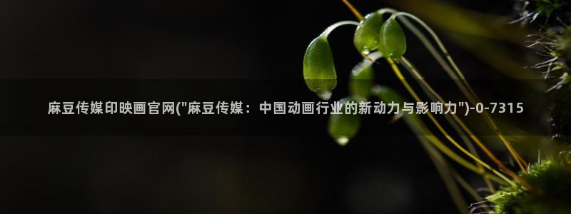 麻豆资料页