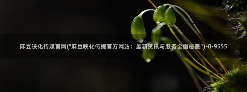 麻豆百度收录