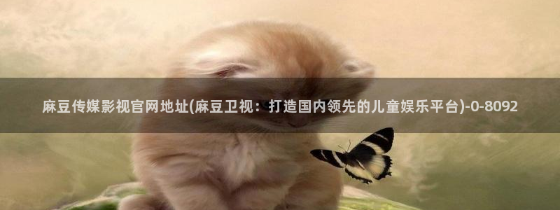 麻豆视频站内文案
